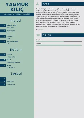cv indir